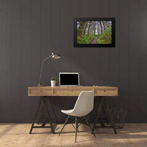 Usa-Oregon-Yachats Cape Perpetua Black Modern Wood Framed Art Print by Looney, Hollice