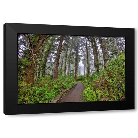 Usa-Oregon-Yachats Cape Perpetua Black Modern Wood Framed Art Print with Double Matting by Looney, Hollice