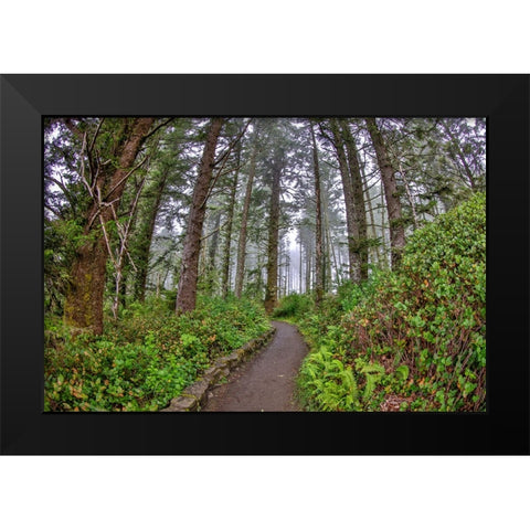 Usa-Oregon-Yachats Cape Perpetua Black Modern Wood Framed Art Print by Looney, Hollice