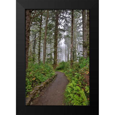 Usa-Oregon-Yachats Cape Perpetua Black Modern Wood Framed Art Print by Looney, Hollice