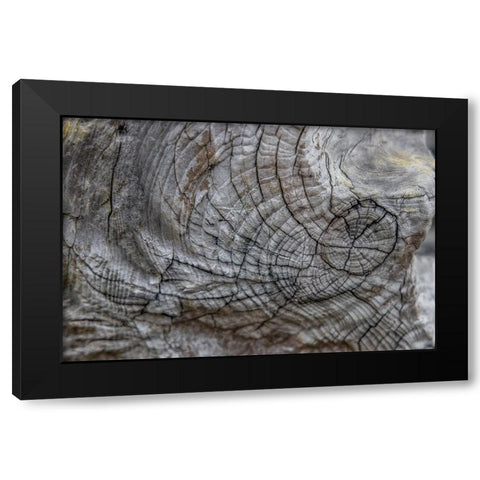 Usa-Oregon-Bandon Bandon Beach-Closeup of Wood on the Beach Black Modern Wood Framed Art Print with Double Matting by Looney, Hollice