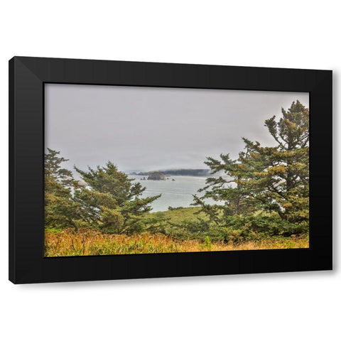 Usa-Oregon-Port Orford Cape Blanco Lighthouse-Coast Near Cape Blanco Lighthouse Black Modern Wood Framed Art Print by Looney, Hollice