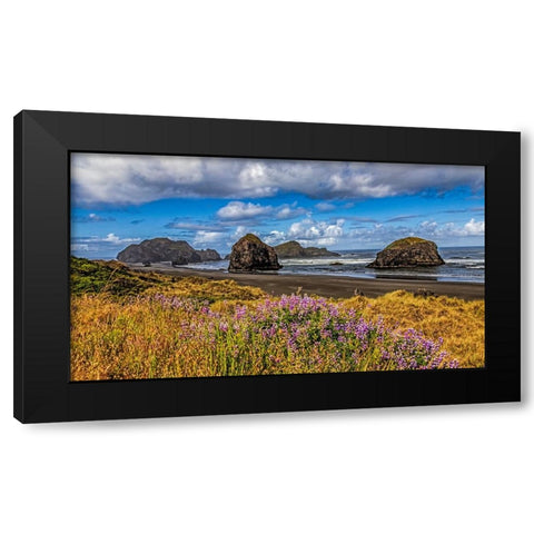 USA-Oregon-Cape Sebastian Black Modern Wood Framed Art Print by Restuccia, Joe III