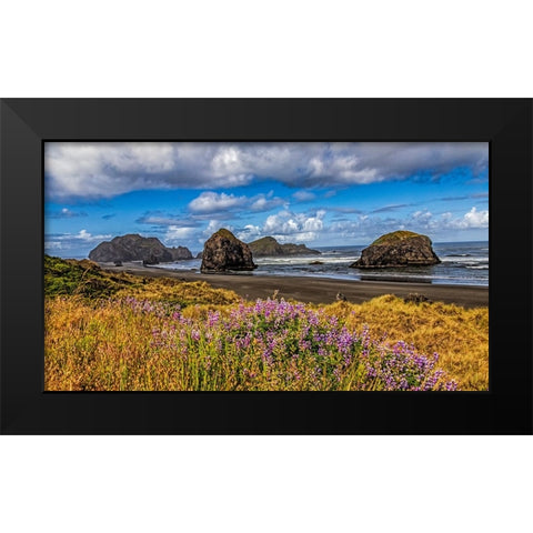 USA-Oregon-Cape Sebastian Black Modern Wood Framed Art Print by Restuccia, Joe III