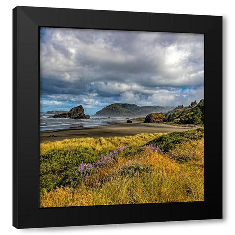 USA-Oregon-Cape Sebastian Black Modern Wood Framed Art Print with Double Matting by Restuccia, Joe III