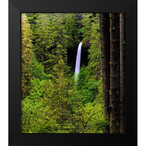 USA-Oregon-Silver Falls State Park-North Falls Black Modern Wood Framed Art Print by Restuccia, Joe III