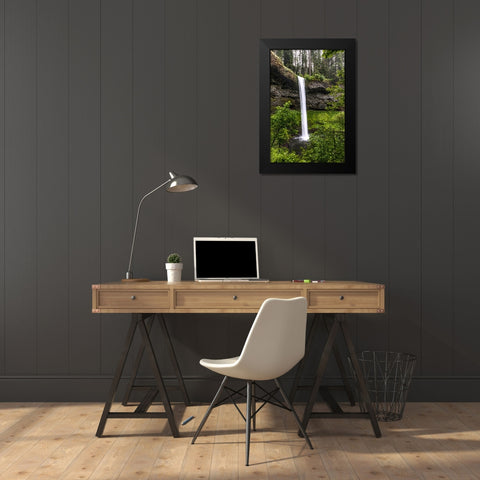 USA-Oregon-Silver Falls State Park-South Falls Black Modern Wood Framed Art Print by Restuccia, Joe III