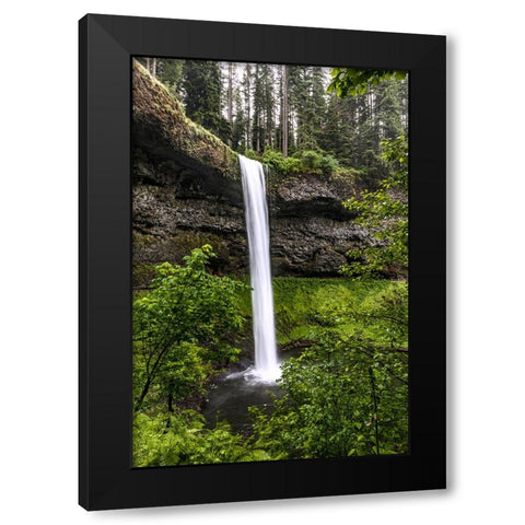 USA-Oregon-Silver Falls State Park-South Falls Black Modern Wood Framed Art Print by Restuccia, Joe III