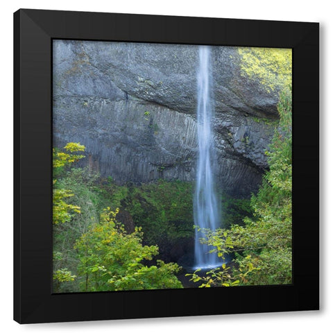 OR-Columbia River Gorge National Scenic Area-Latourell Falls Black Modern Wood Framed Art Print with Double Matting by Wild, Jamie and Judy
