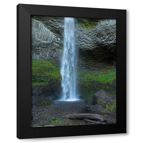 OR-Columbia River Gorge National Scenic Area-Latourell Falls Black Modern Wood Framed Art Print by Wild, Jamie and Judy
