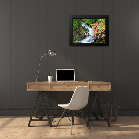 OR-Columbia River Gorge National Scenic Area-Wahkeena Creek Black Modern Wood Framed Art Print by Wild, Jamie and Judy