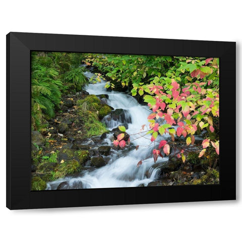 OR-Columbia River Gorge National Scenic Area-Wahkeena Creek Black Modern Wood Framed Art Print by Wild, Jamie and Judy