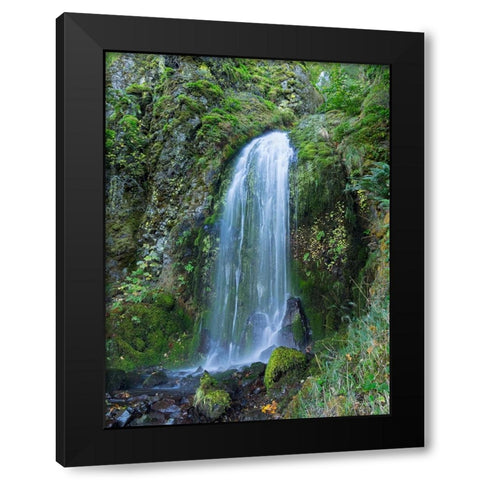 Oregon-Columbia River Gorge National Scenic Area-Lancaster Falls Black Modern Wood Framed Art Print by Wild, Jamie and Judy