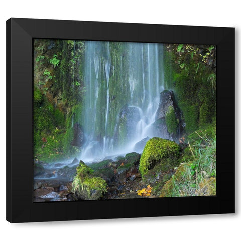 Oregon-Columbia River Gorge National Scenic Area-Lancaster Falls Black Modern Wood Framed Art Print by Wild, Jamie and Judy