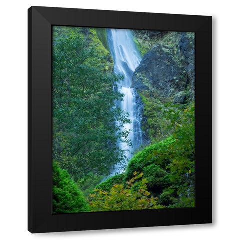Oregon-Columbia River Gorge National Scenic Area-Starvation Creek Falls Black Modern Wood Framed Art Print with Double Matting by Wild, Jamie and Judy