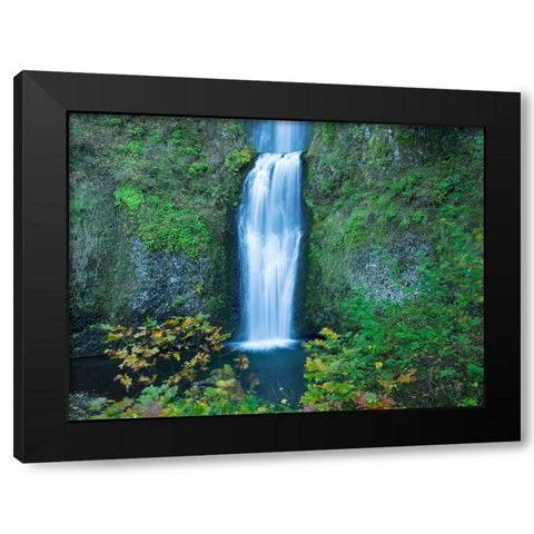 Oregon-Columbia River Gorge National Scenic Area-Multnomah Falls-lower Black Modern Wood Framed Art Print by Wild, Jamie and Judy
