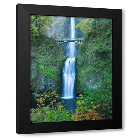 Oregon-Columbia River Gorge National Scenic Area-Multnomah Falls Black Modern Wood Framed Art Print with Double Matting by Wild, Jamie and Judy