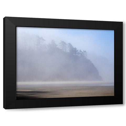 Oregon-Hug Point Morning fog Black Modern Wood Framed Art Print by Wild, Jamie and Judy