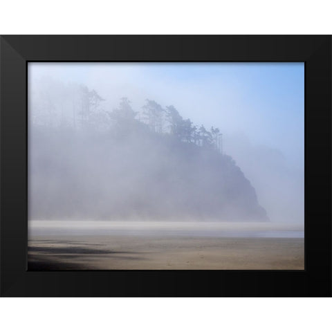Oregon-Hug Point Morning fog Black Modern Wood Framed Art Print by Wild, Jamie and Judy