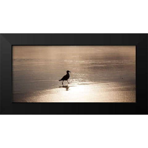 Oregon Cannon Beach with seagull reflection in the sand at sunset Black Modern Wood Framed Art Print by Gulin, Sylvia
