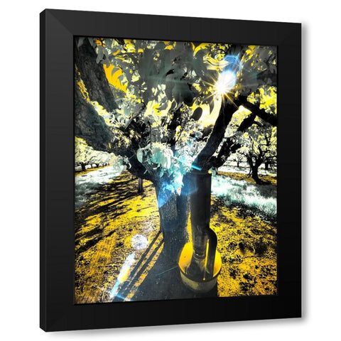 USA-Oregon-Columbia Gorge Infrared of light reflecting in spring apple orchard Black Modern Wood Framed Art Print by Eggers, Terry