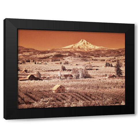 USA-Oregon-Columbia Gorge Infrared of spring orchards in bloom and Mount Hood Black Modern Wood Framed Art Print by Eggers, Terry