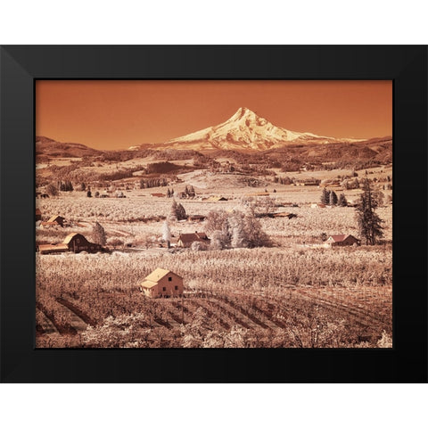 USA-Oregon-Columbia Gorge Infrared of spring orchards in bloom and Mount Hood Black Modern Wood Framed Art Print by Eggers, Terry