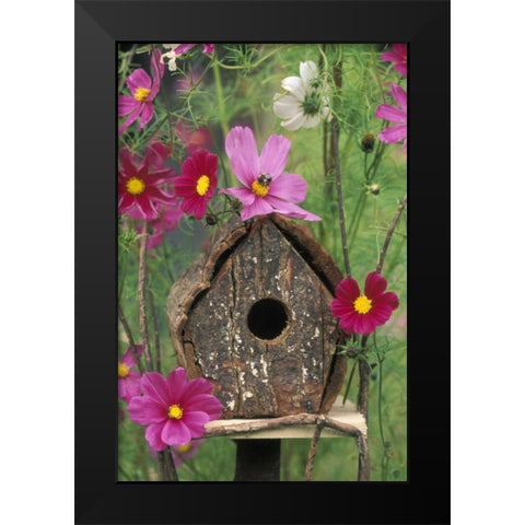 PA, Birdhouse among cosmos flowers with bee Black Modern Wood Framed Art Print by Rotenberg, Nancy