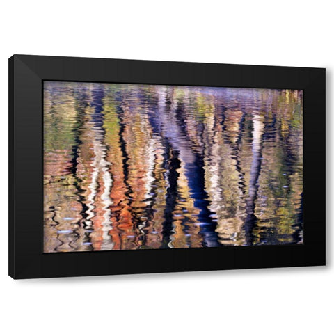 PA, Philadelphia Autumn trees by Pennypack Creek Black Modern Wood Framed Art Print with Double Matting by OBrien, Jay