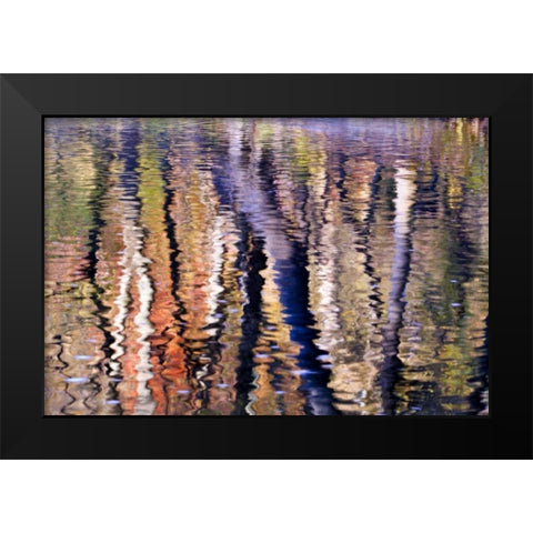 PA, Philadelphia Autumn trees by Pennypack Creek Black Modern Wood Framed Art Print by OBrien, Jay