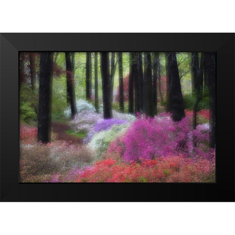 GA, Impressionistic trees and flowering bushes Black Modern Wood Framed Art Print by Rotenberg, Nancy