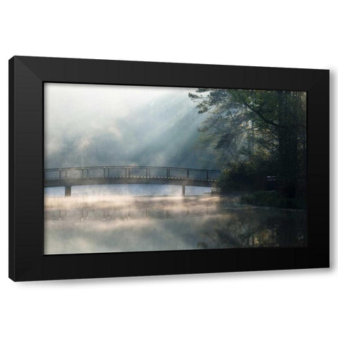 Georgia Sunlit mist on bridge over lake Black Modern Wood Framed Art Print by Rotenberg, Nancy