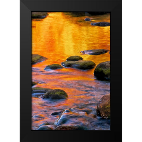 PA, Delaware Water Gap Bright sun on water Black Modern Wood Framed Art Print by OBrien, Jay