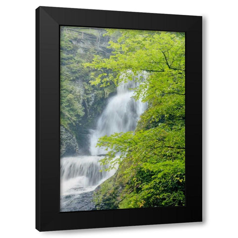 PA, Dingmans Ferry, Dingmans Ferry Falls Black Modern Wood Framed Art Print by OBrien, Jay