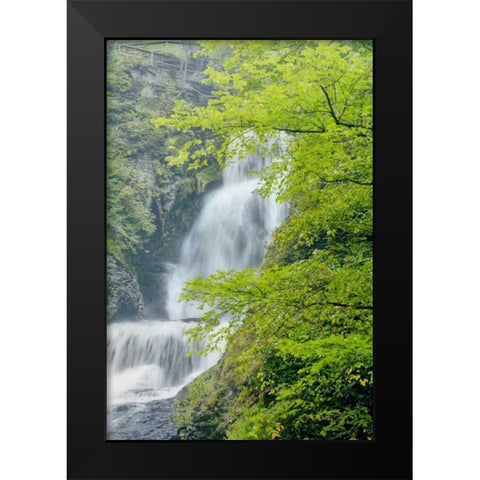 PA, Dingmans Ferry, Dingmans Ferry Falls Black Modern Wood Framed Art Print by OBrien, Jay
