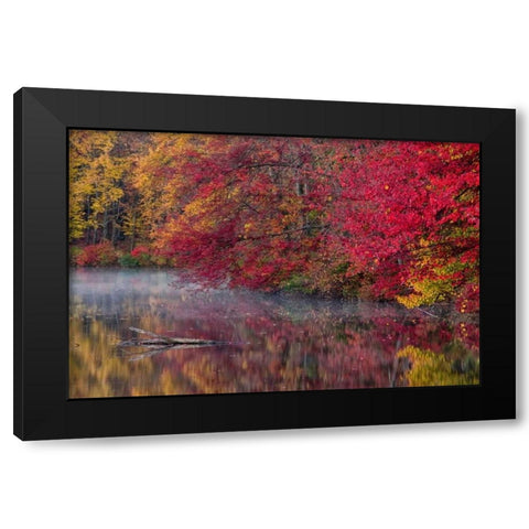 PA, Hidden Lake Trees in autumn reflect in lake Black Modern Wood Framed Art Print by OBrien, Jay