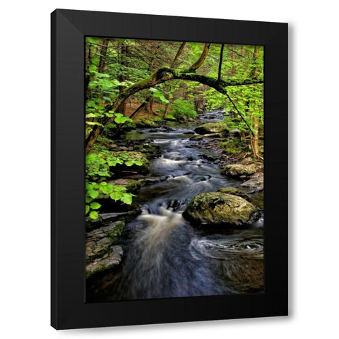 PA, Dingmans Ferry, Childs Park Dingmans Creek Black Modern Wood Framed Art Print with Double Matting by OBrien, Jay