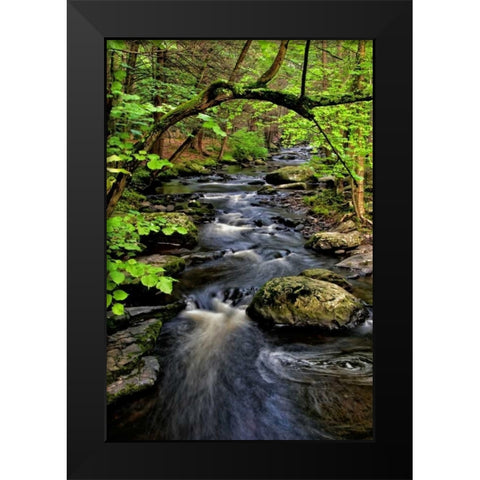 PA, Dingmans Ferry, Childs Park Dingmans Creek Black Modern Wood Framed Art Print by OBrien, Jay