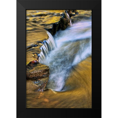PA, Dingmans Ferry Autumn waterfall over rocks Black Modern Wood Framed Art Print by OBrien, Jay
