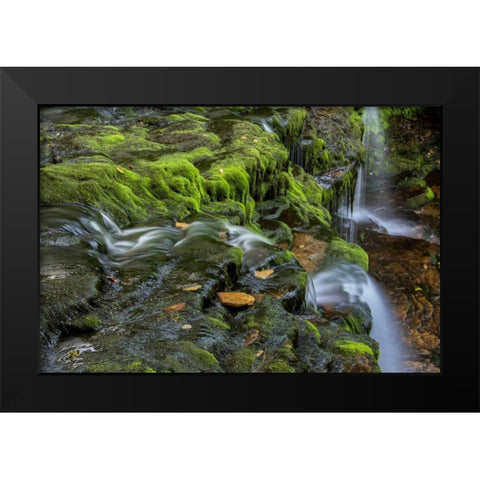 Pennsylvania, Ricketts Glen SP Flowing stream Black Modern Wood Framed Art Print by OBrien, Jay