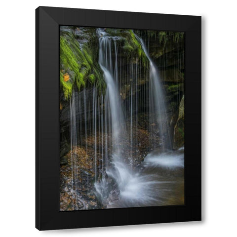 Pennsylvania Waterfall in Ricketts Glen SP Black Modern Wood Framed Art Print with Double Matting by OBrien, Jay