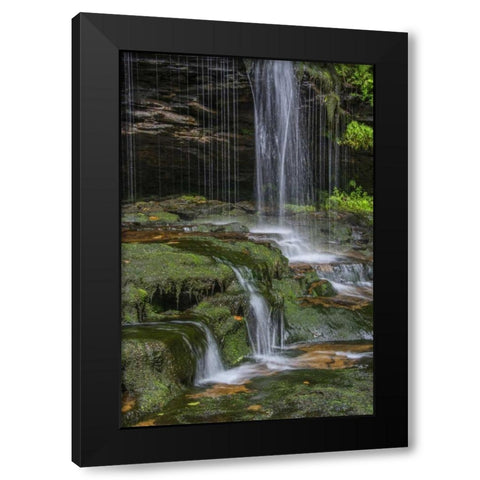 Pennsylvania Waterfall in Ricketts Glen SP Black Modern Wood Framed Art Print with Double Matting by OBrien, Jay