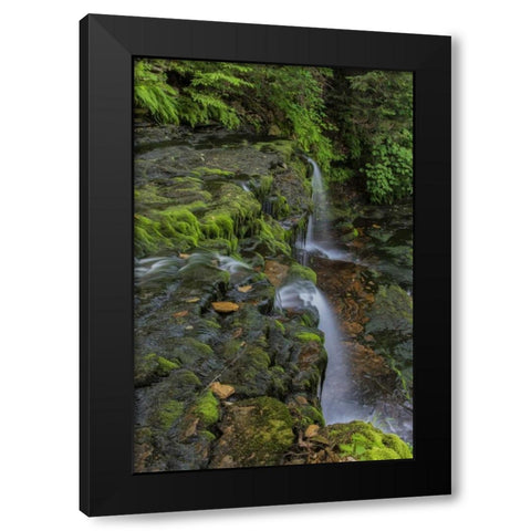 Pennsylvania, Ricketts Glen SP Flowing stream Black Modern Wood Framed Art Print with Double Matting by OBrien, Jay