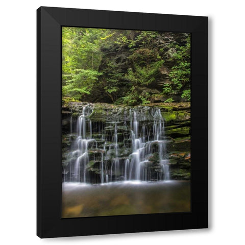 Pennsylvania Waterfall in Ricketts Glen SP Black Modern Wood Framed Art Print by OBrien, Jay