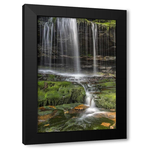 Pennsylvania Waterfall in Ricketts Glen SP Black Modern Wood Framed Art Print by OBrien, Jay