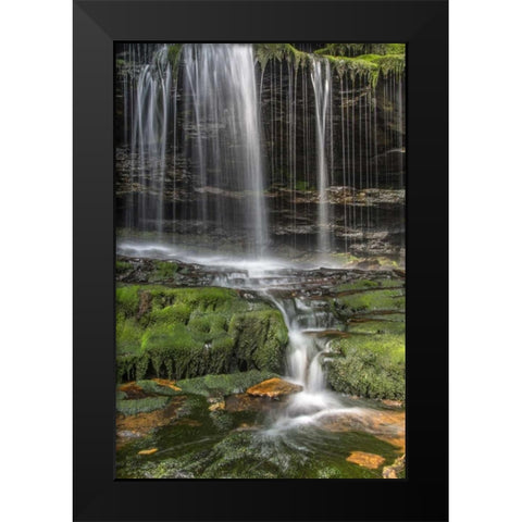 Pennsylvania Waterfall in Ricketts Glen SP Black Modern Wood Framed Art Print by OBrien, Jay