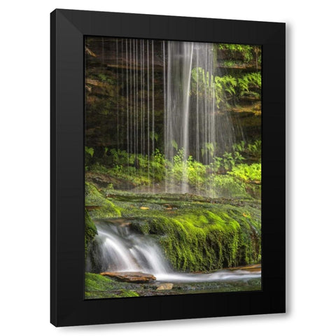 Pennsylvania Waterfall in Ricketts Glen SP Black Modern Wood Framed Art Print with Double Matting by OBrien, Jay