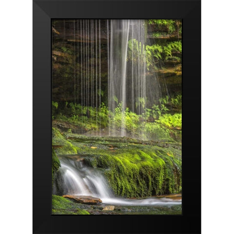 Pennsylvania Waterfall in Ricketts Glen SP Black Modern Wood Framed Art Print by OBrien, Jay
