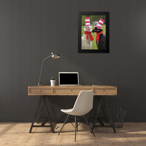 Pennsylvania, Erie Two llamas dressed humorously Black Modern Wood Framed Art Print by Anon, Ellen