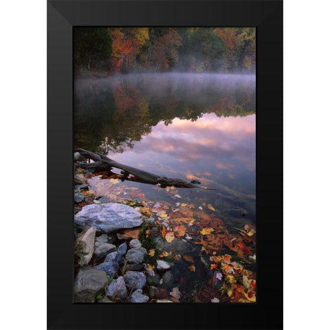 PA, Pocono Mountains Autumn sunrise on lake Black Modern Wood Framed Art Print by Bush, Marie